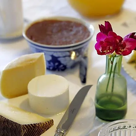 Bed & Breakfast Magnolia Lisboa