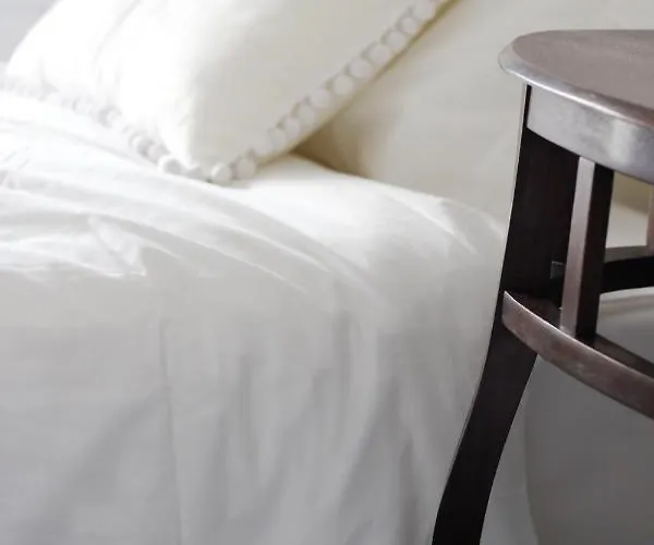 住宿加早餐酒店 马格诺利娅住宿加早餐旅馆 *