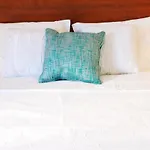 Magnolia Bed & Breakfast